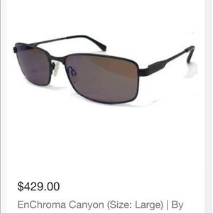 Enchroma Color Blind Sunglasses Canyon 59 Gunmetal